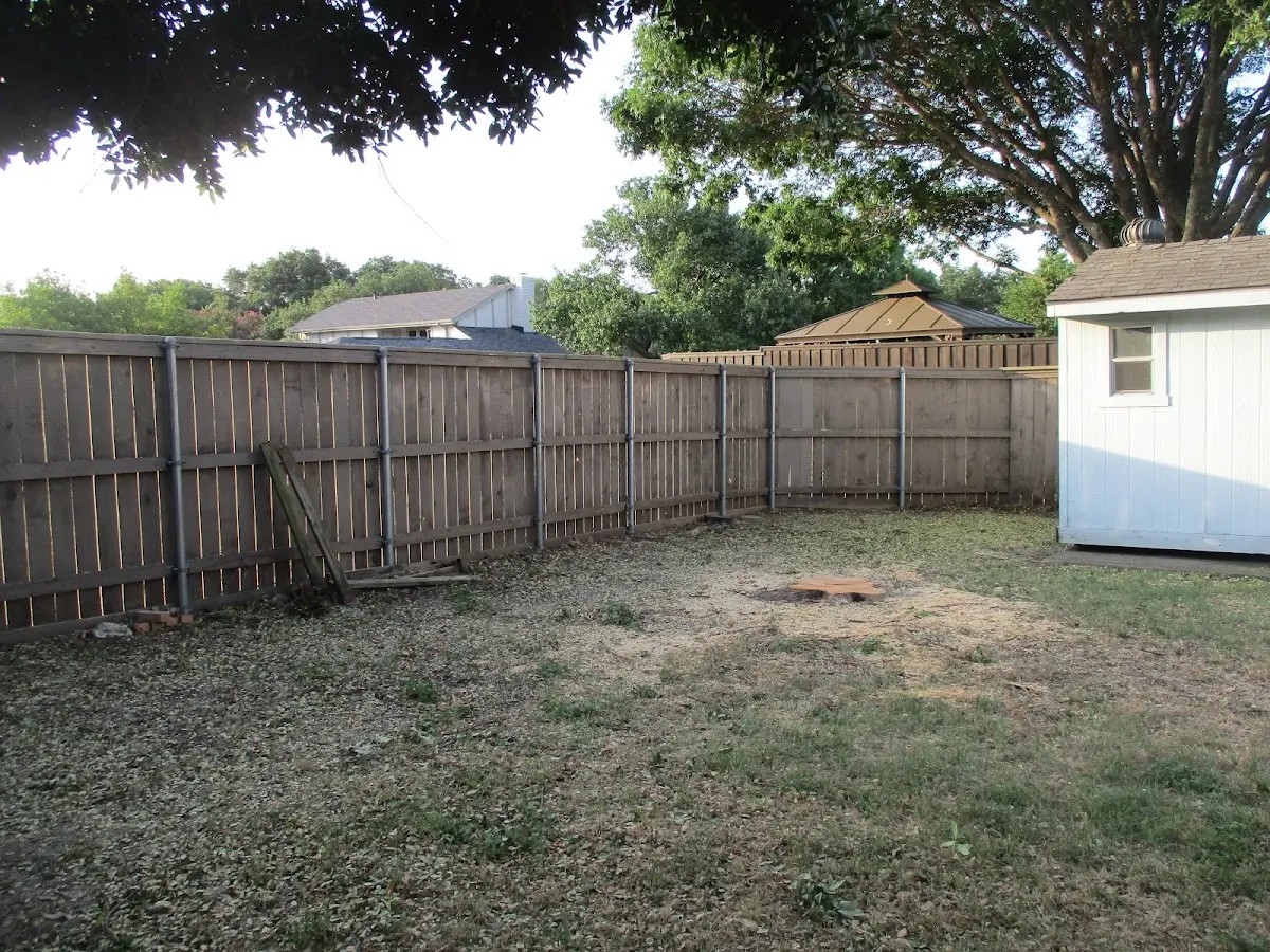 Cleared yard after professional tree removal in Marine On Saint Croix