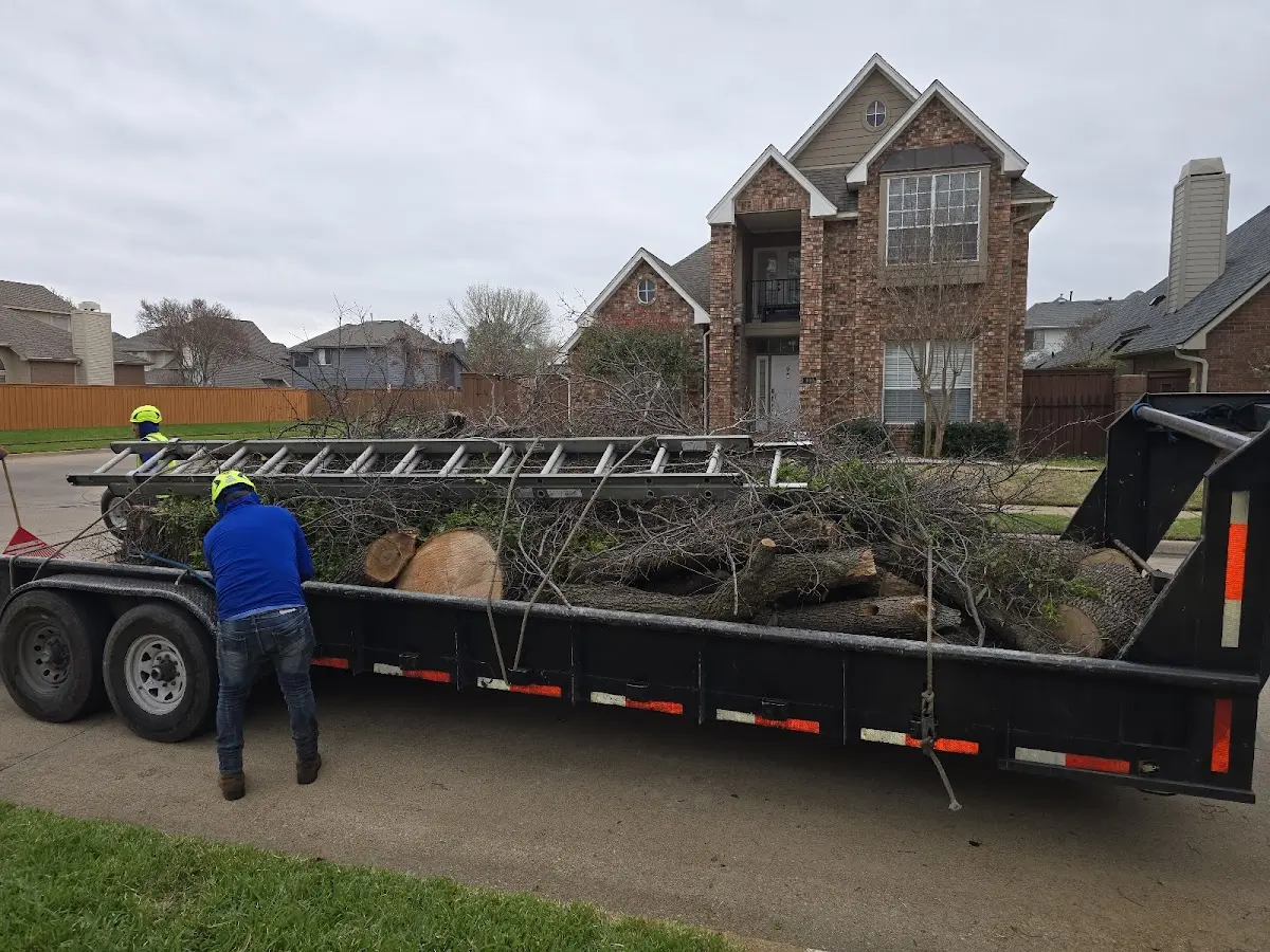 Expert Tree Fertilization with proper safety equipment in Marine On Saint Croix